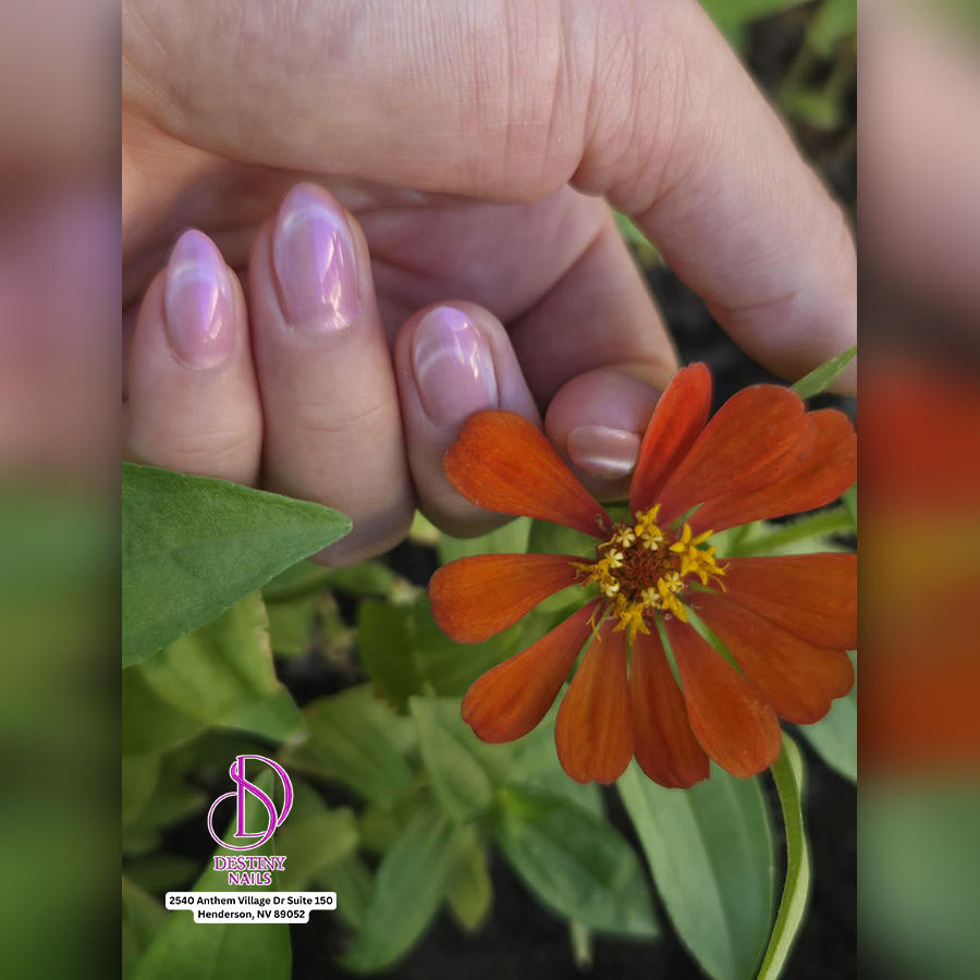 nail ideas